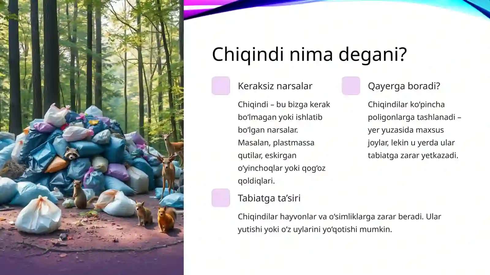 Xalqaro chiqindisiz kun 3