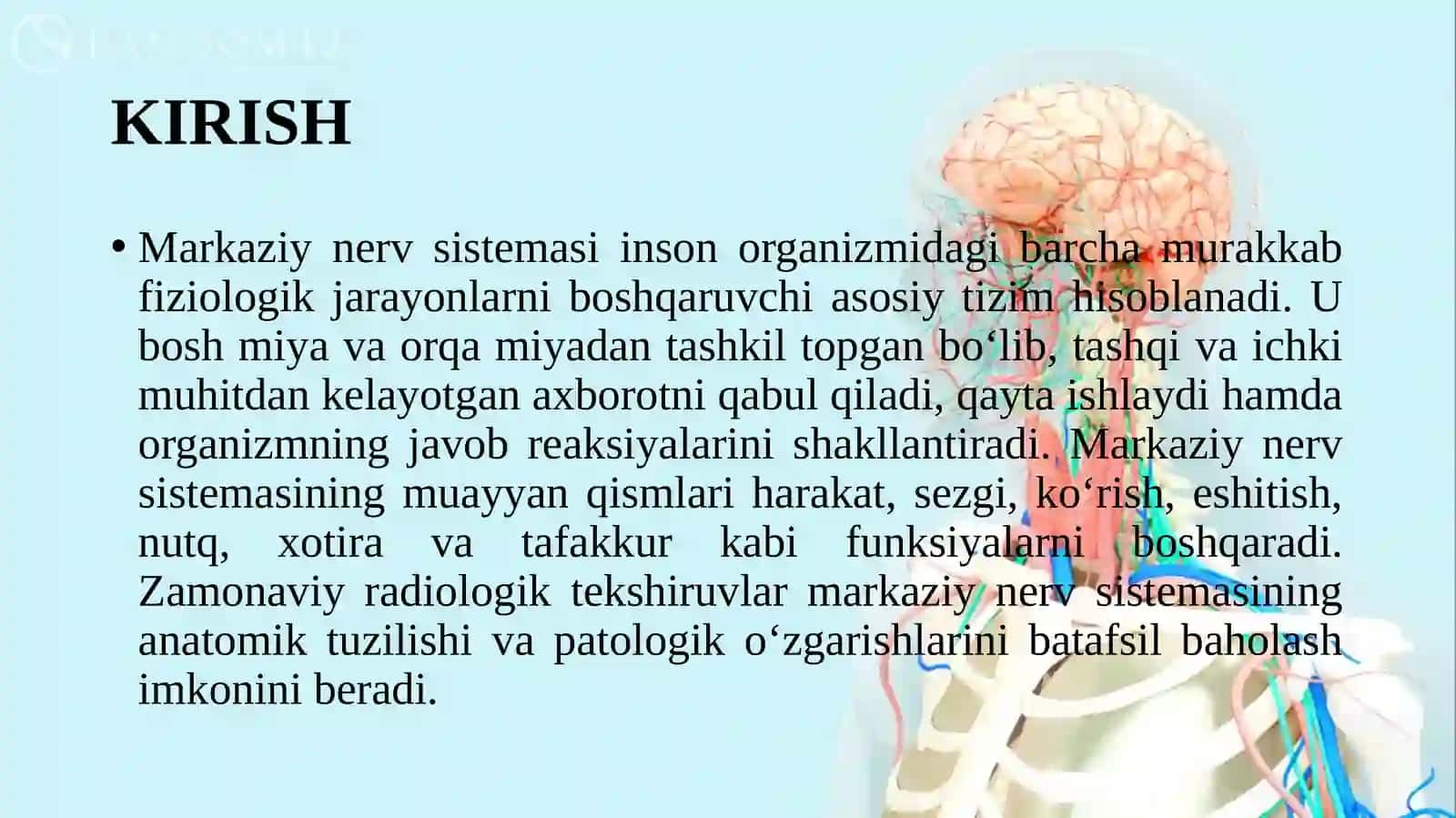 MARKAZIY NERV SISTEMASI VA MARKAZLARI 3