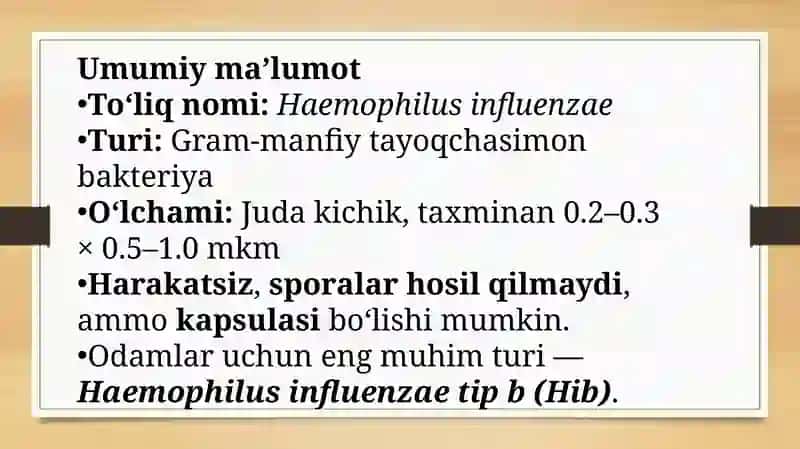 Gemofilbakteriyalar (influentstayoqchasi) bakteriyalar 3