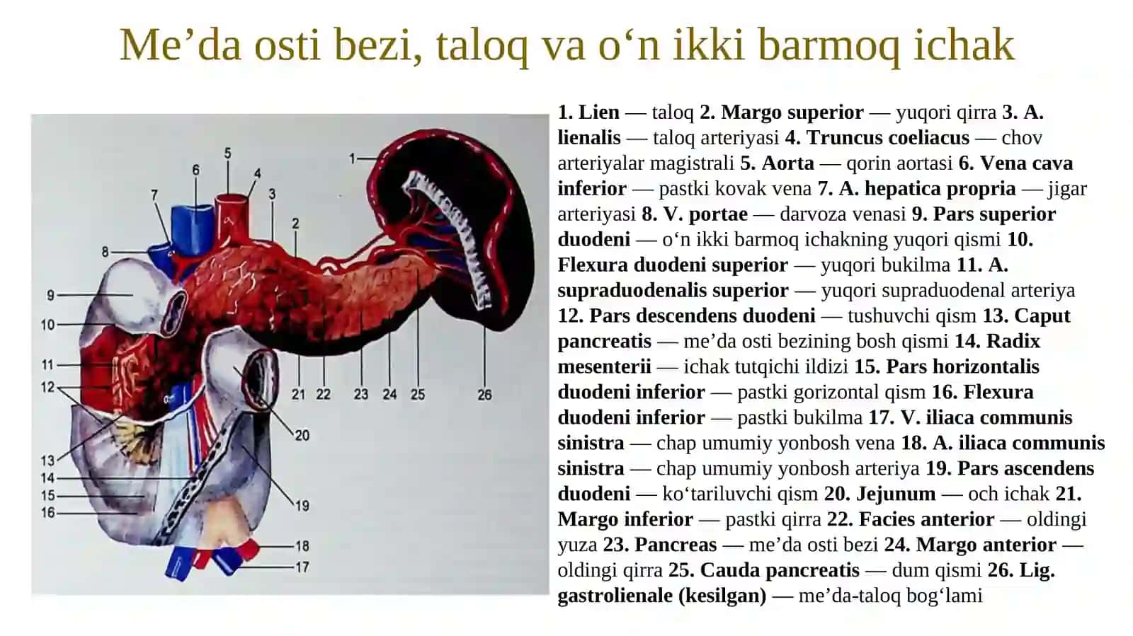 JIGAR VA ME’DA OSTI BEZI 3