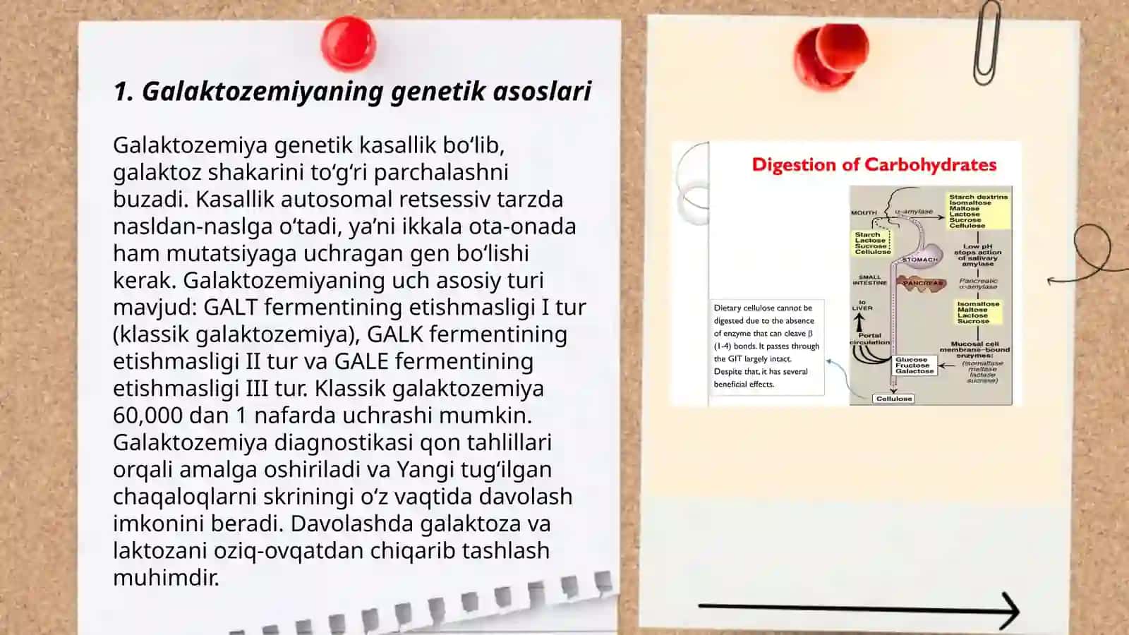 Uglevodlar almashinuvi buzilishi bilan kechuvchi kasalliklar 3