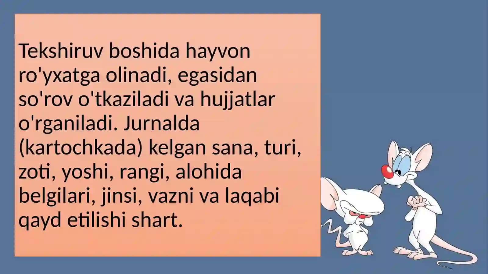 Kemiruvchilarni klinik tekshirish rejasi 3