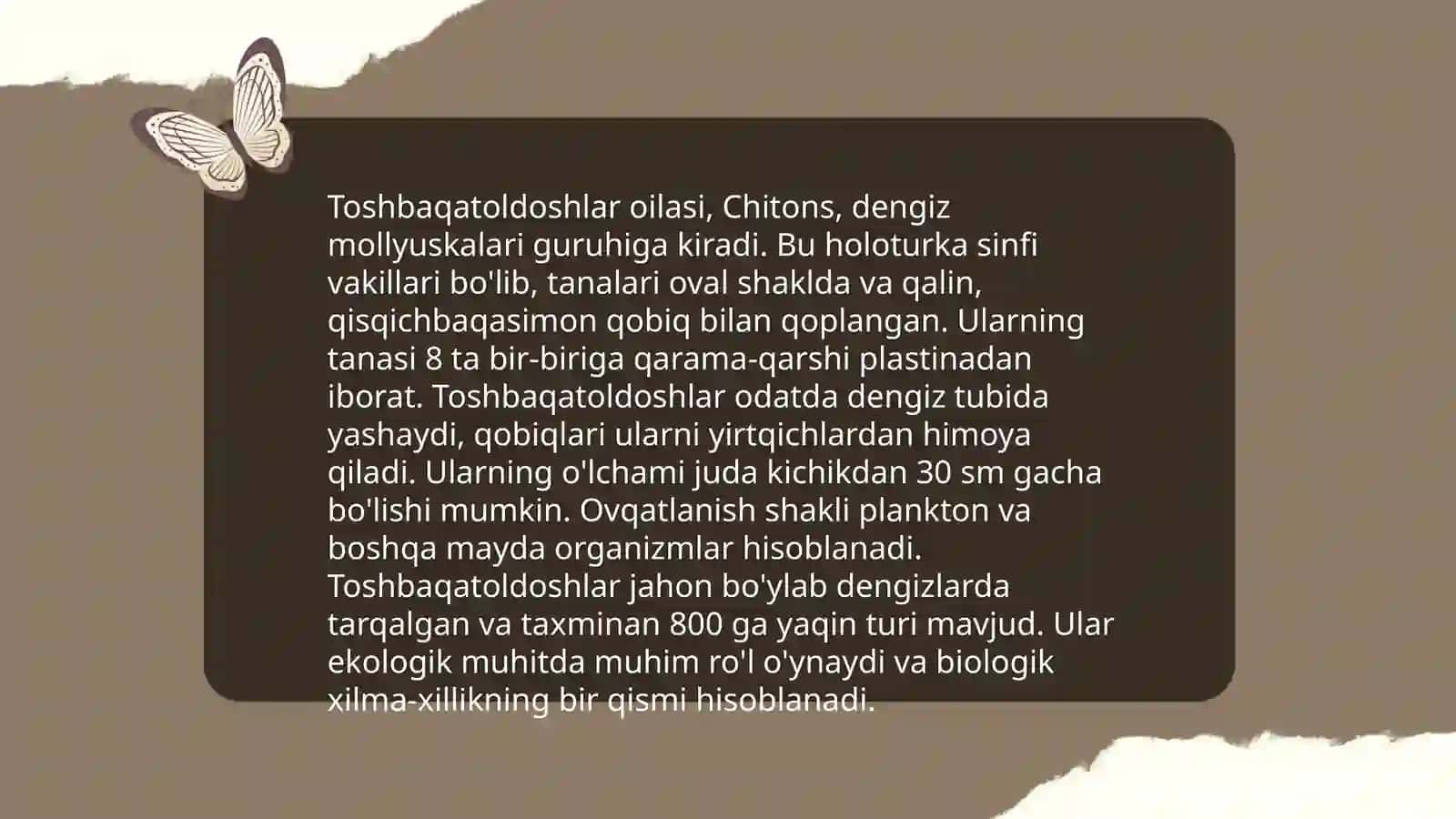 Toshbaqatoldoshlar oilasi 3