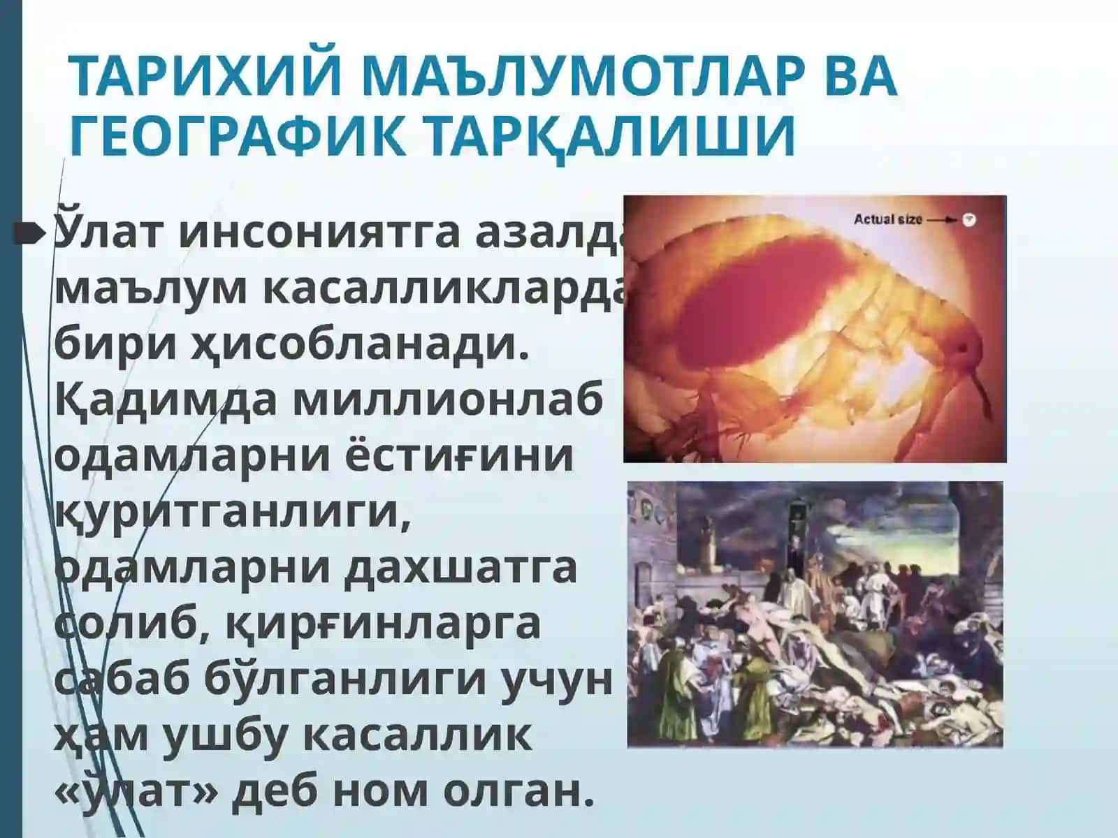 Улат 3