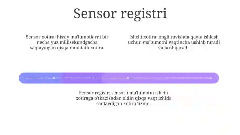 Aql Va Xotira Psixologiya 3