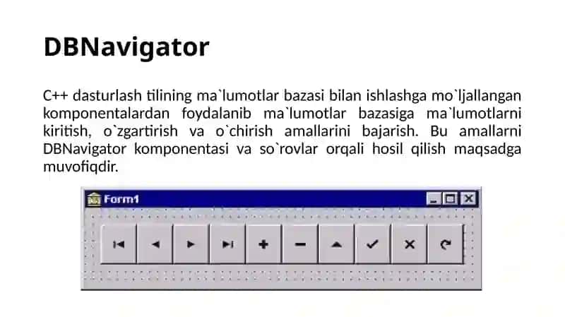 DBNavigator 3