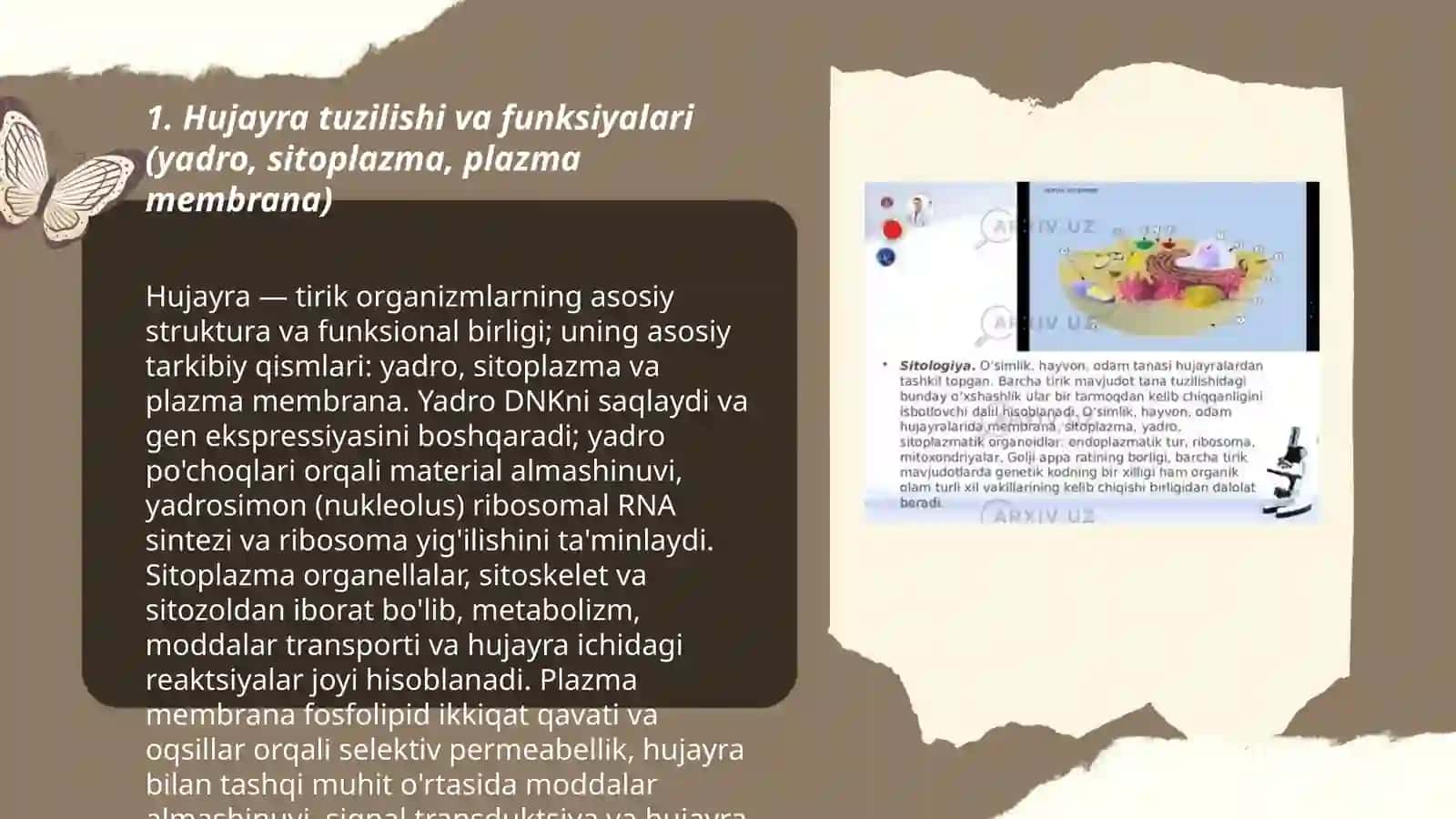Sitologiya va Gestologiya 3