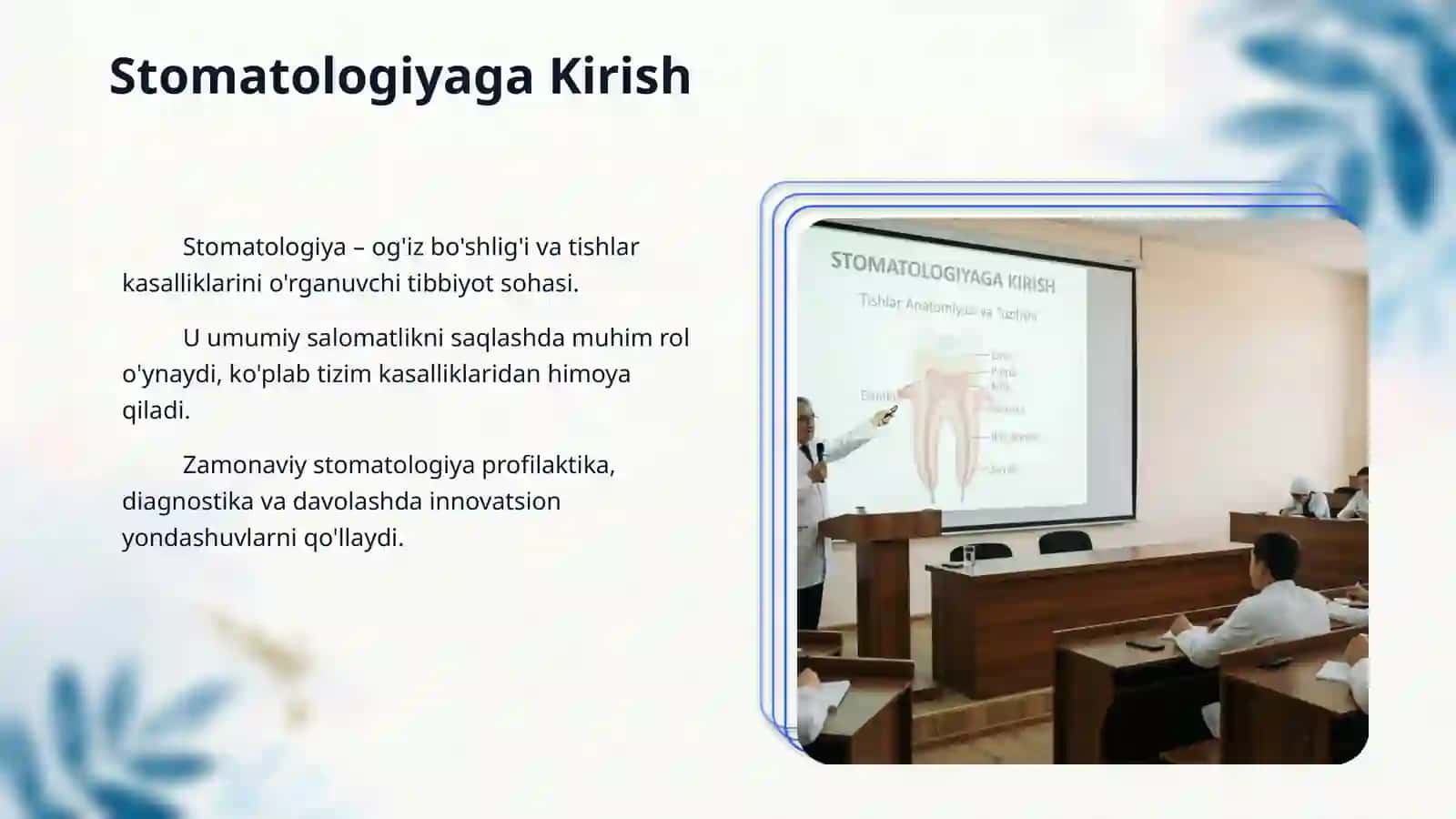 Stomotologiya kirish, tishlar haqida alohida tavsif rasmlari qismlari bilan 3