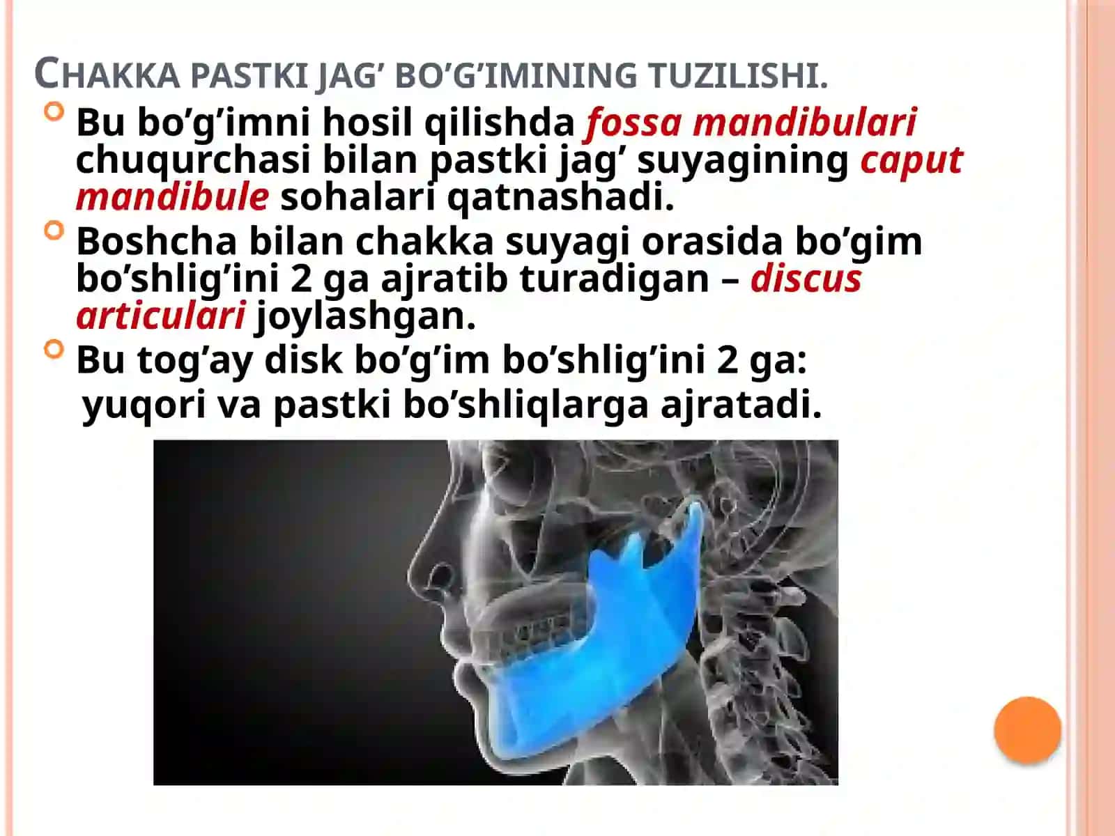 ChPJBanatomik-topografik tuzilishi, norma, disfunksiyasi, patologiyasi va diagnostikasi 3