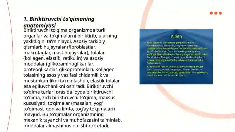 Gistologiya va Embriologiya mustaqil ishi 3