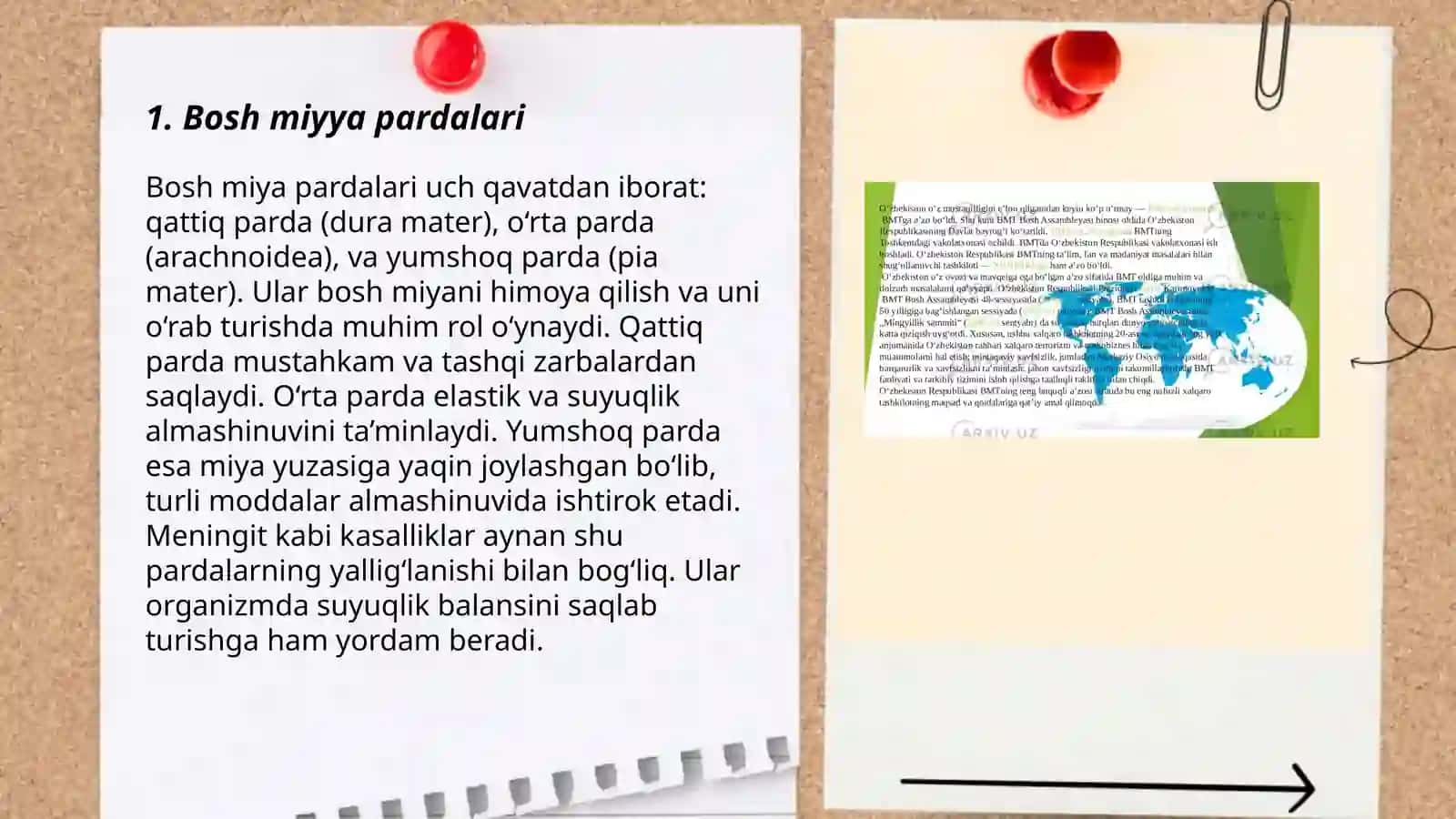 Bosh miyya va orqa miyyani orab turuvchi pardalar 3