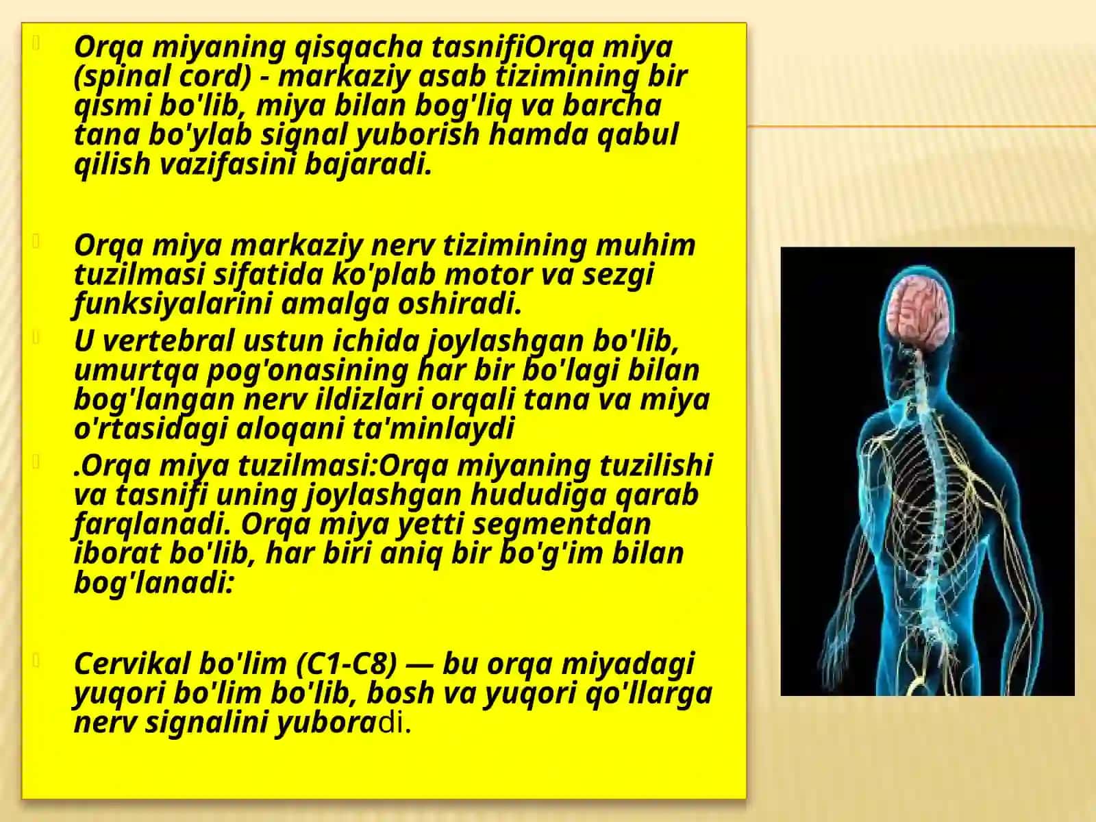 Orqamiyaning joylashuvi va ahamiyati 3