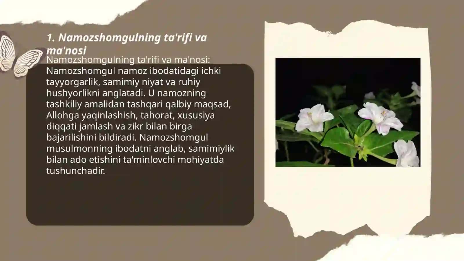 Namozshomgul 3