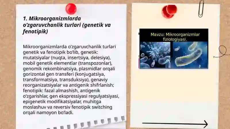 Mikroorganizmlarning oʻzgaruvchanligi va irsiyati 3