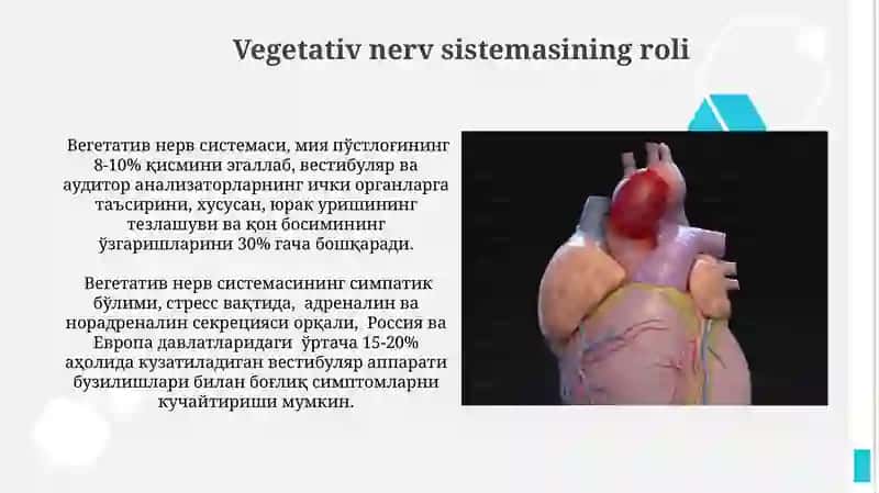 Vestibulyar va auditör analizatorlarning o'zaro bog‘liqligi 3