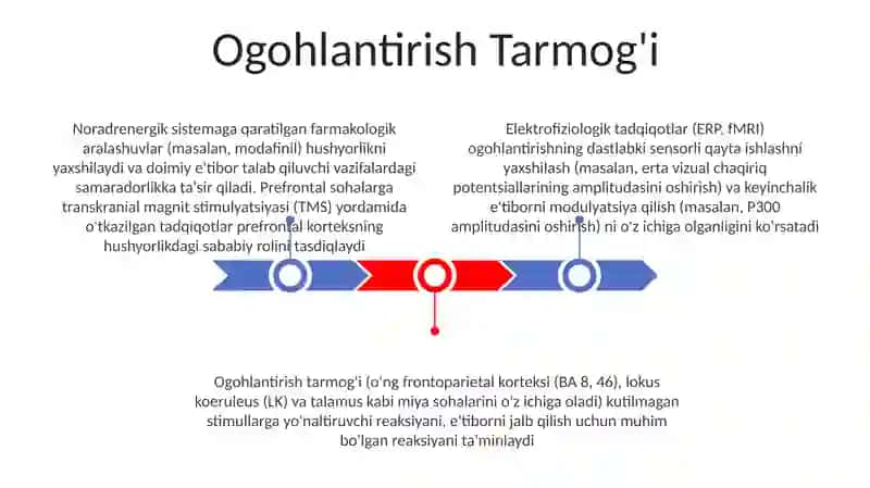 Diqqat haqida tushuncha va uning nerv-fiziologik asoslari 3