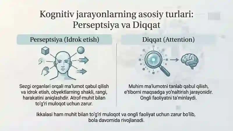 Kognitiv Jarayonlar: Shakllanish va Aks Etirish 3