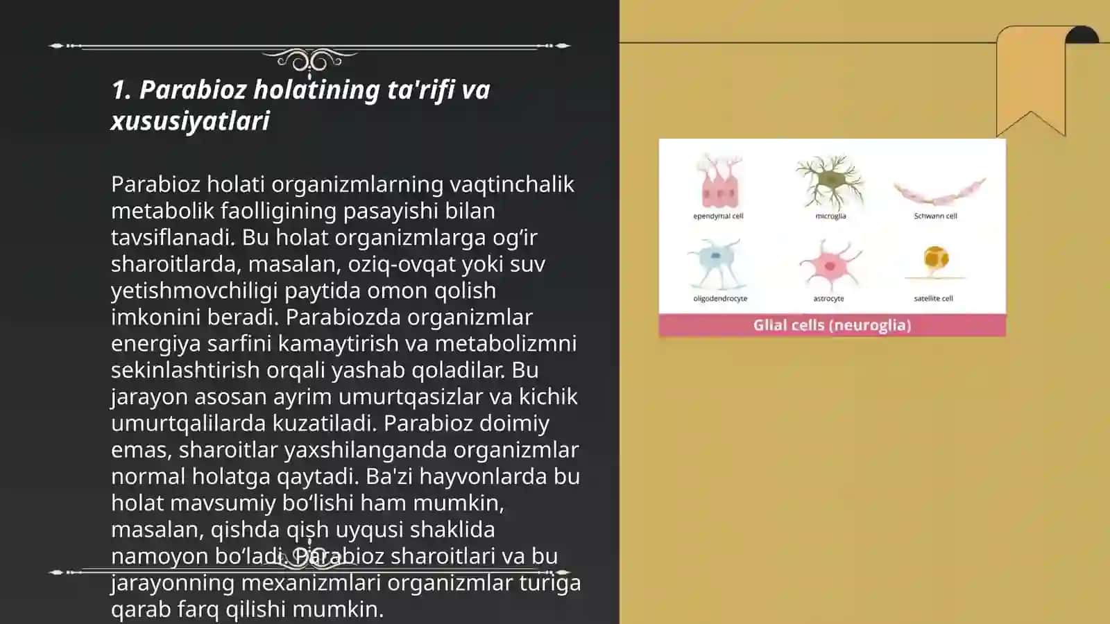 Parabioz holati.Glial hujayralarning funksiyalari.Akson transporti.Sinaps mediatorlarining umumiy tavsifi.Efapslar Davolash ishi 24-14 guruh talabasi Raximova Moxinur 3
