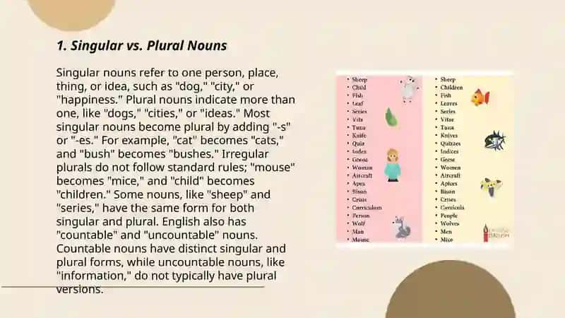 Plurals 3