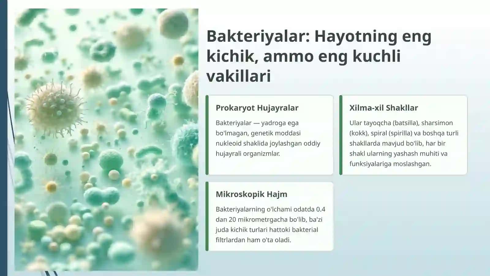 Bakteriyalarning fiziologiyasi, kimyoviy tarkibi, oziqlanishi, o'sishi va ko'payishi 3