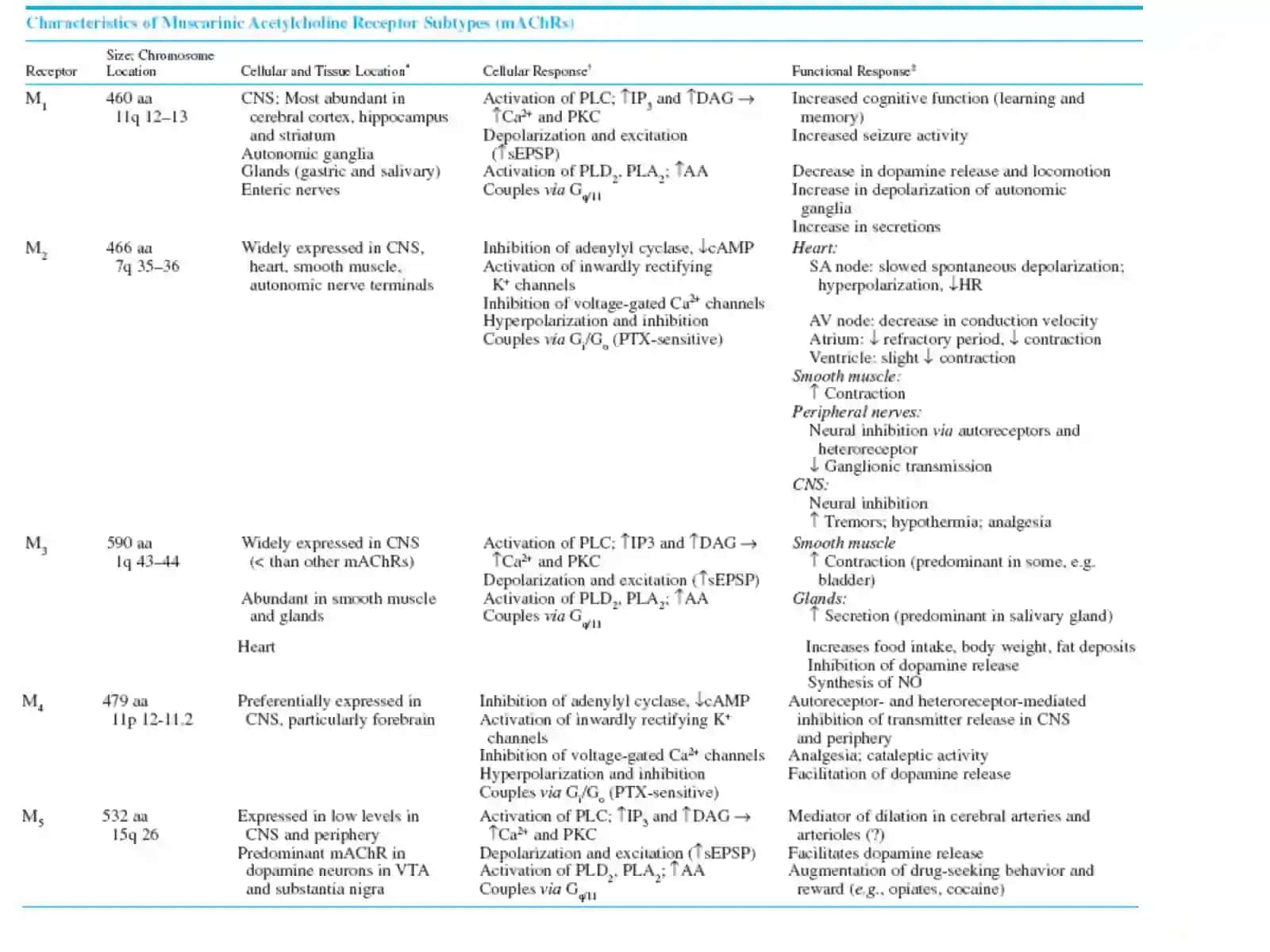 Cholinoceptor-Activating & Cholinesterase-inhibiting Drugs 3