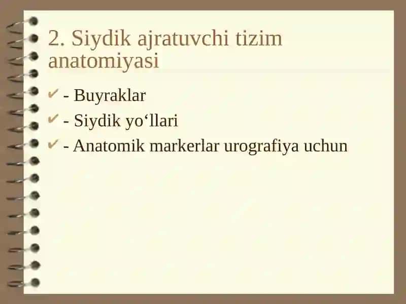 Siydikajratuvchiyo‘llarvajinsiya’zolarkasalliklariningnurtashxisi 3