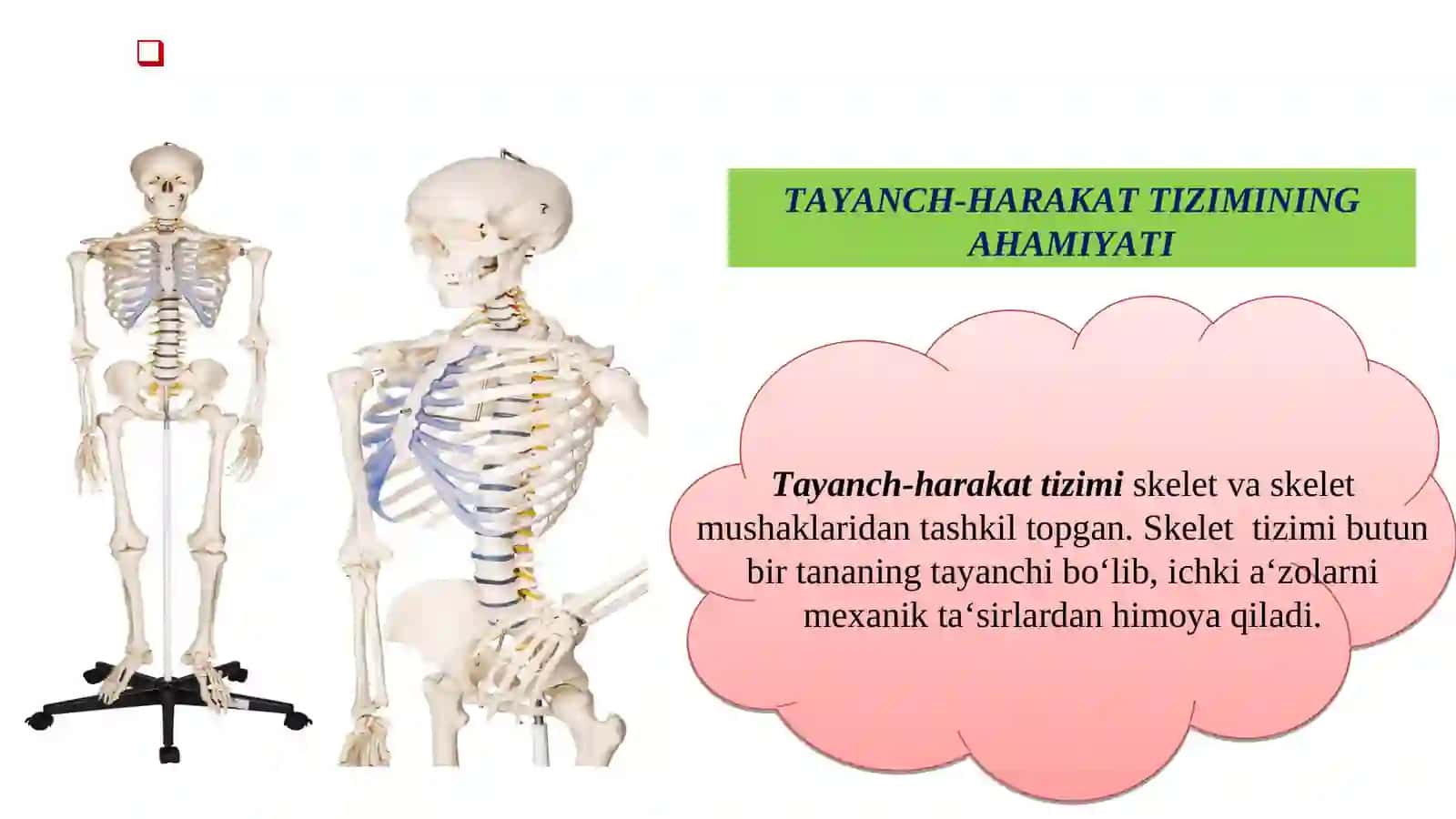 Ko'plab shikastlanish. Tayanch-xarakat tizimining ko'plab va qo'shilib kelgan shikastlanishlari 3