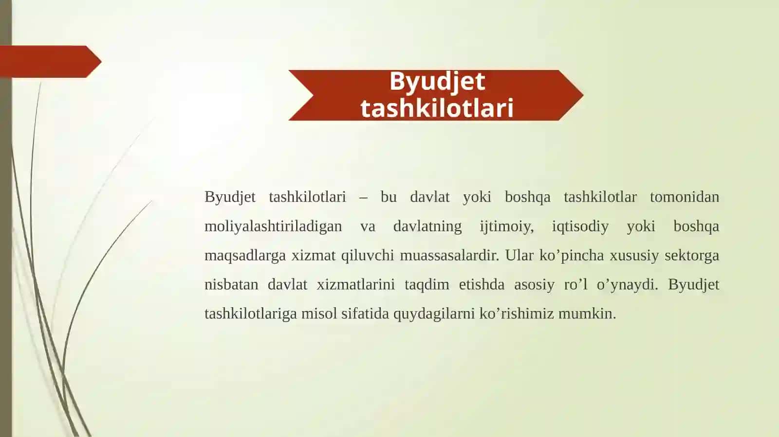 Byudjet tashkilotlarida mablag’lari. Maktab byudjeti 3