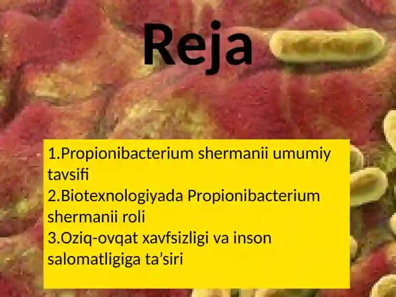 Propionibacterium shermanii 3