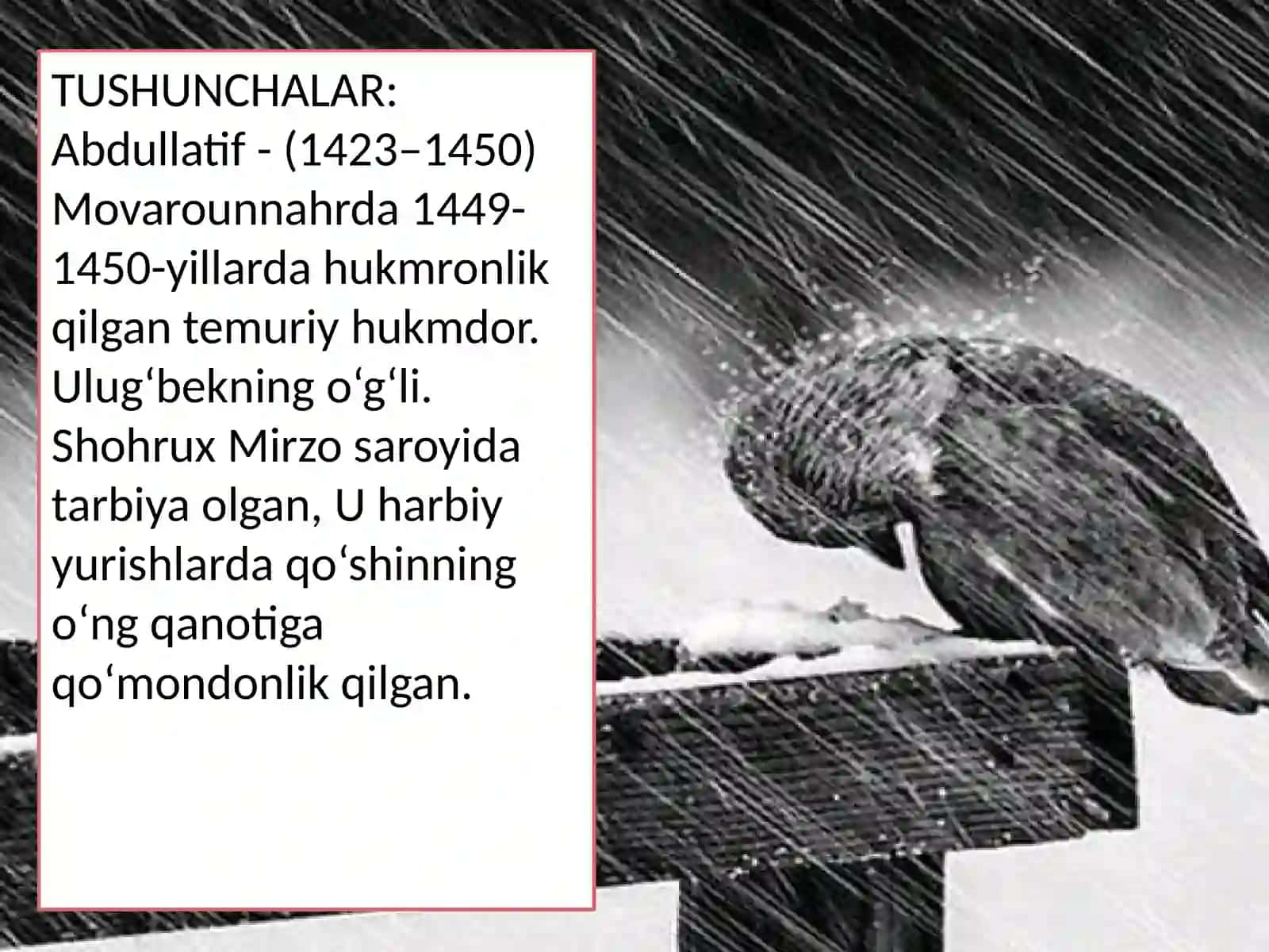 Amir Temurdan keyin saltanat 3