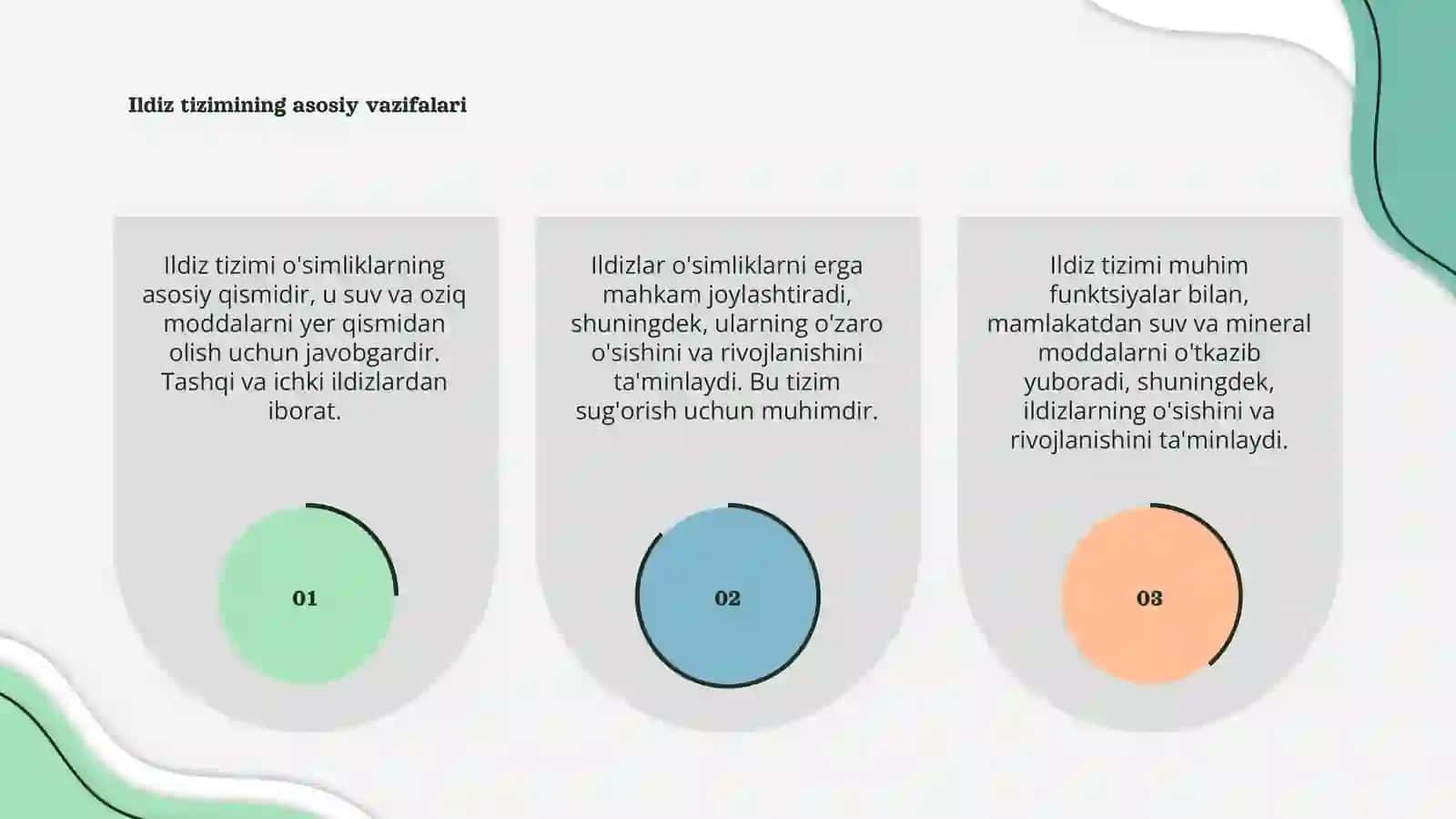 Ildiz tizimi 3