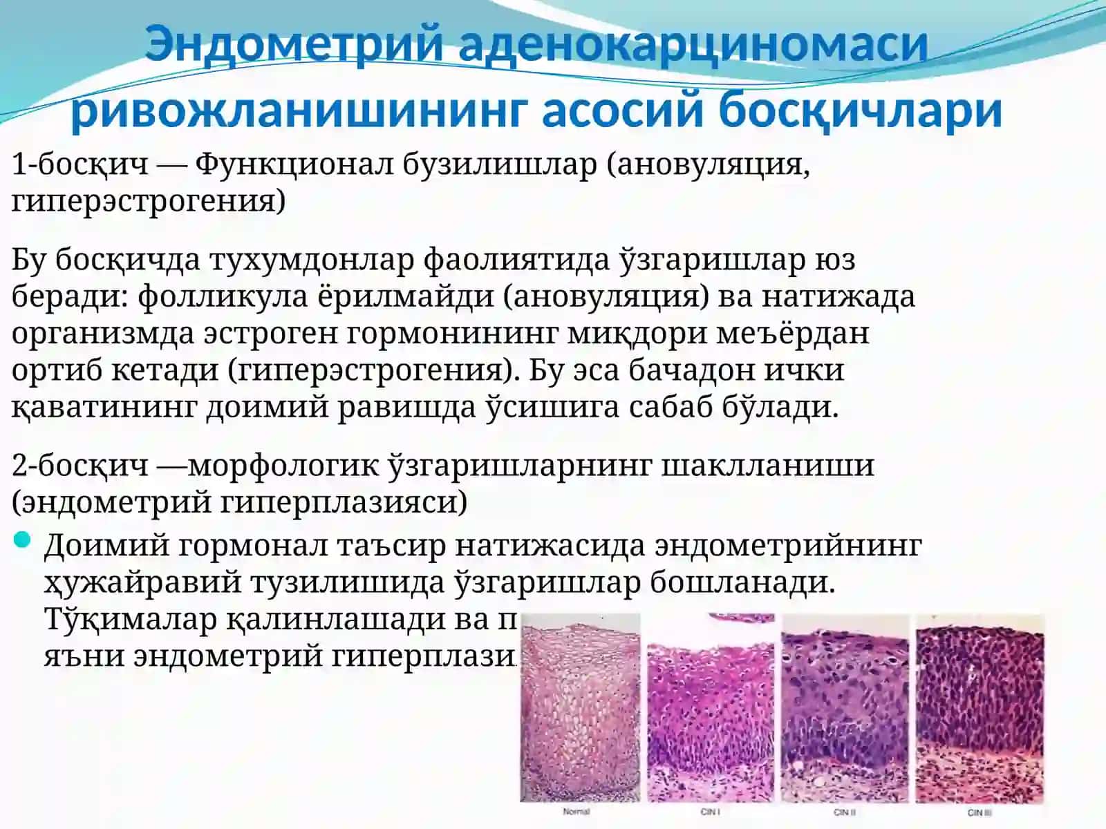 Бачадонтана 3