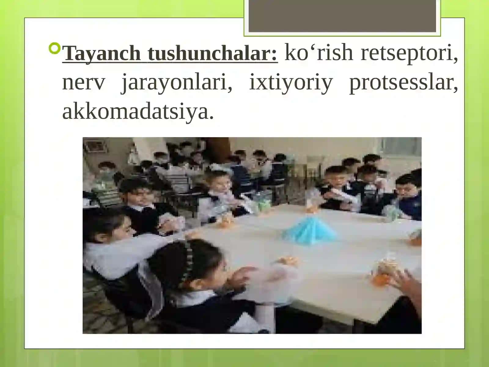 Kichik maktab yoshi davrida psixik rivojlanish xususiyatlar 3