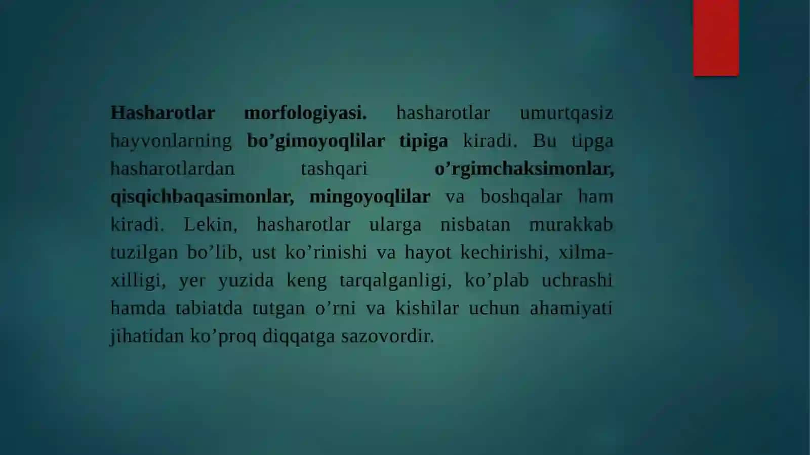 HASHOROTLAR MORFOLOGIYASI 3