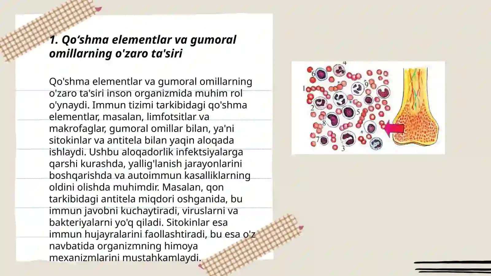 Qo'shma elementlar va gumoral omillarning o'zaro ta'siri 3