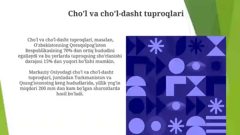 Cho'l va cho'l-dasht tuproqlari 3