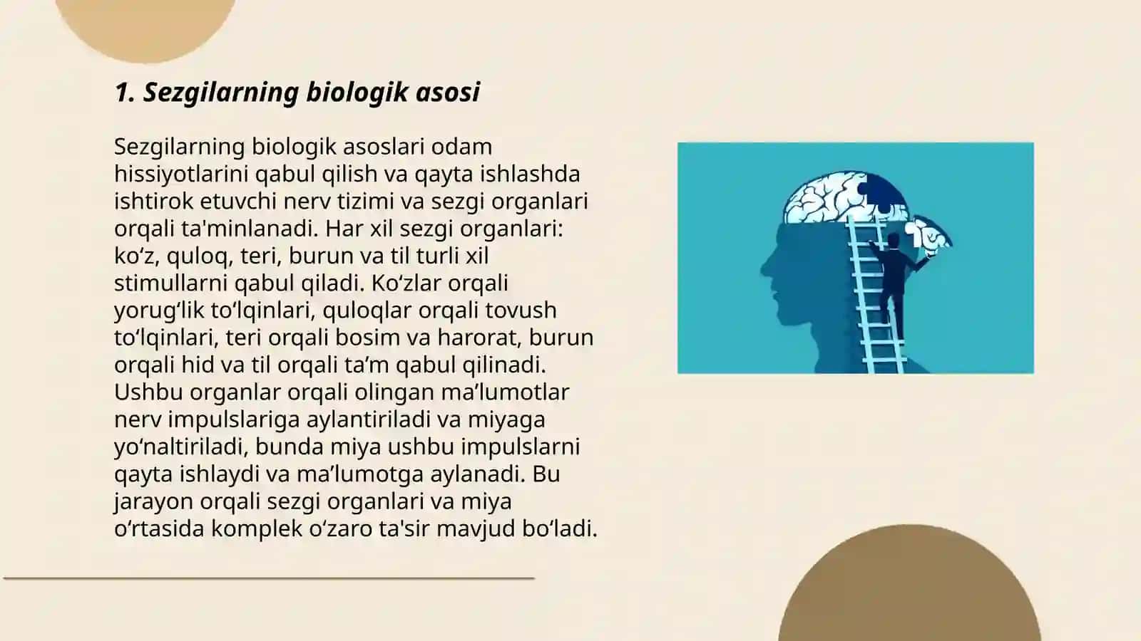 Psixologiya fanida sezgi nazariyalari 3