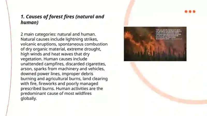 Forest fire 3