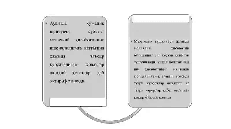 AUDITORLIK TEKSHIRUVIDA MUHIMLIK  VA  RISK 3