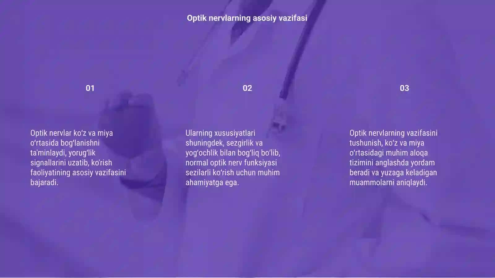 Optik nervlarning vazifasi va oʻziga xos xususiyatlari 3