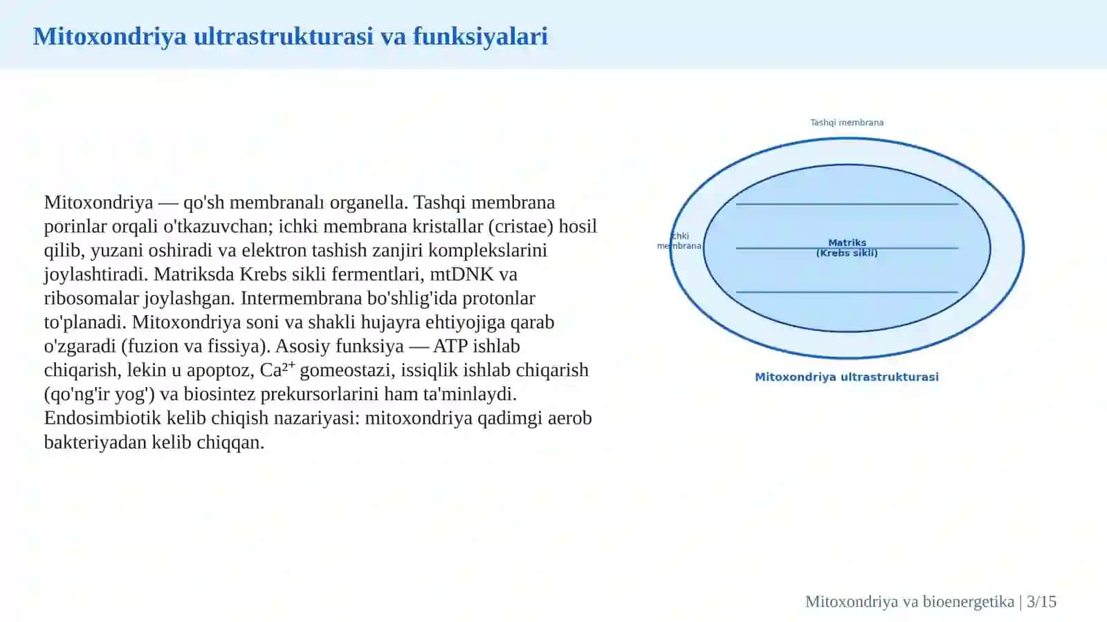 Mitoxondrial biologiya, hujayra bioenergetikasi va oksidlovchi fosforlanish 3