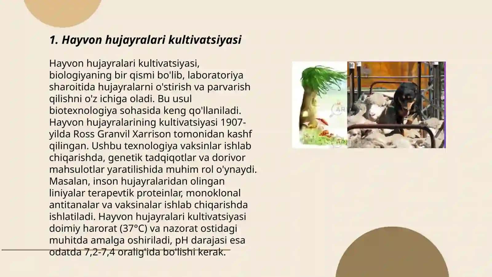 Biotexnologiya ob'ektlari sifatida hayvonlar va o'simliklar hujayralari 3