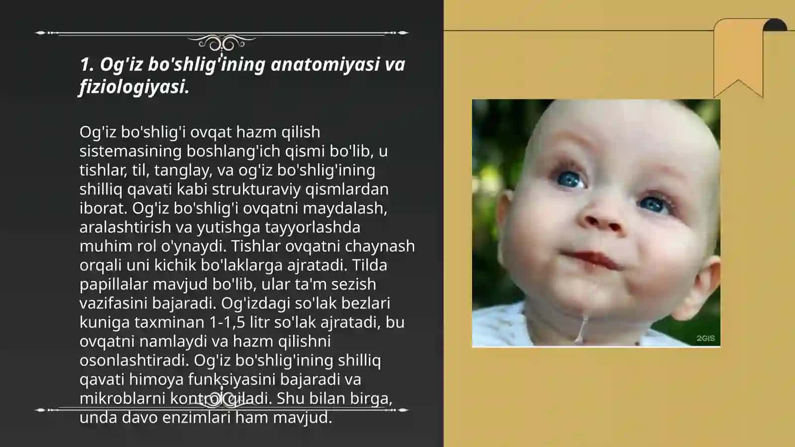 Og'iz bo'shlig'ida himoya- baryer kompleks tizimi 3