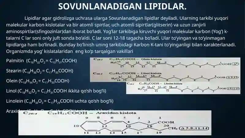 Lipidlar ularning tuzulishi va funksiyasi. 3