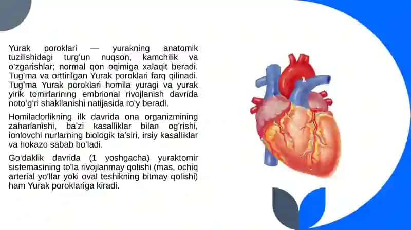 YURAK PAROKLARI 3
