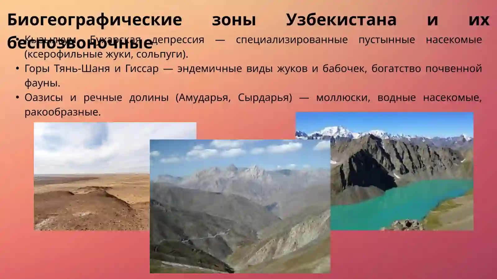 Биологическое разнообразие фауны беспозвоночных животных Узбекистана 3