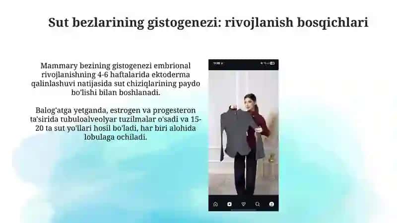 Sut bezlari gistogenezi va gistofiziologiyasi. Laktatsiya jarayonining neyrogumoral mexanizmlari 3