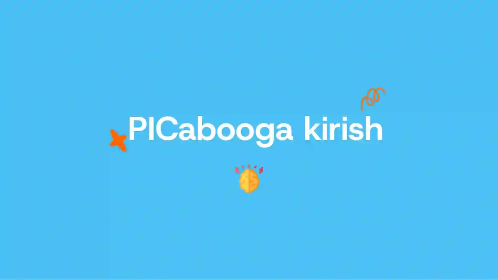 PICaboo darsi uchun qo'llanma 3