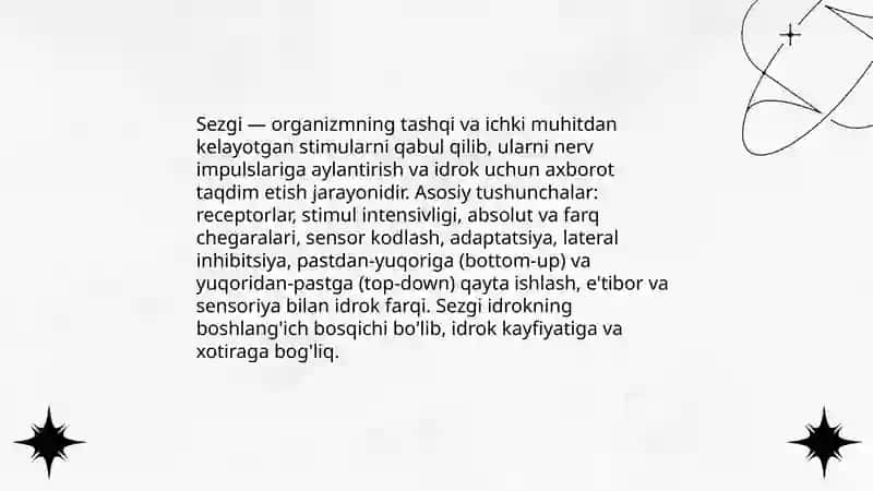 Sezgi 3