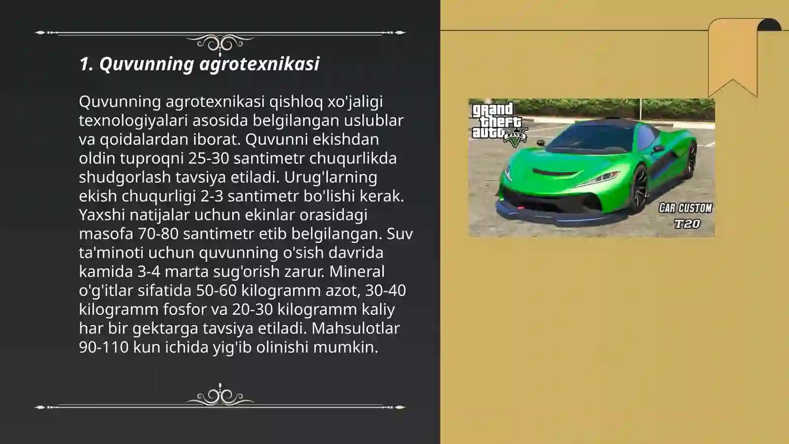 MFY Yoshlar Yetakchisi 3